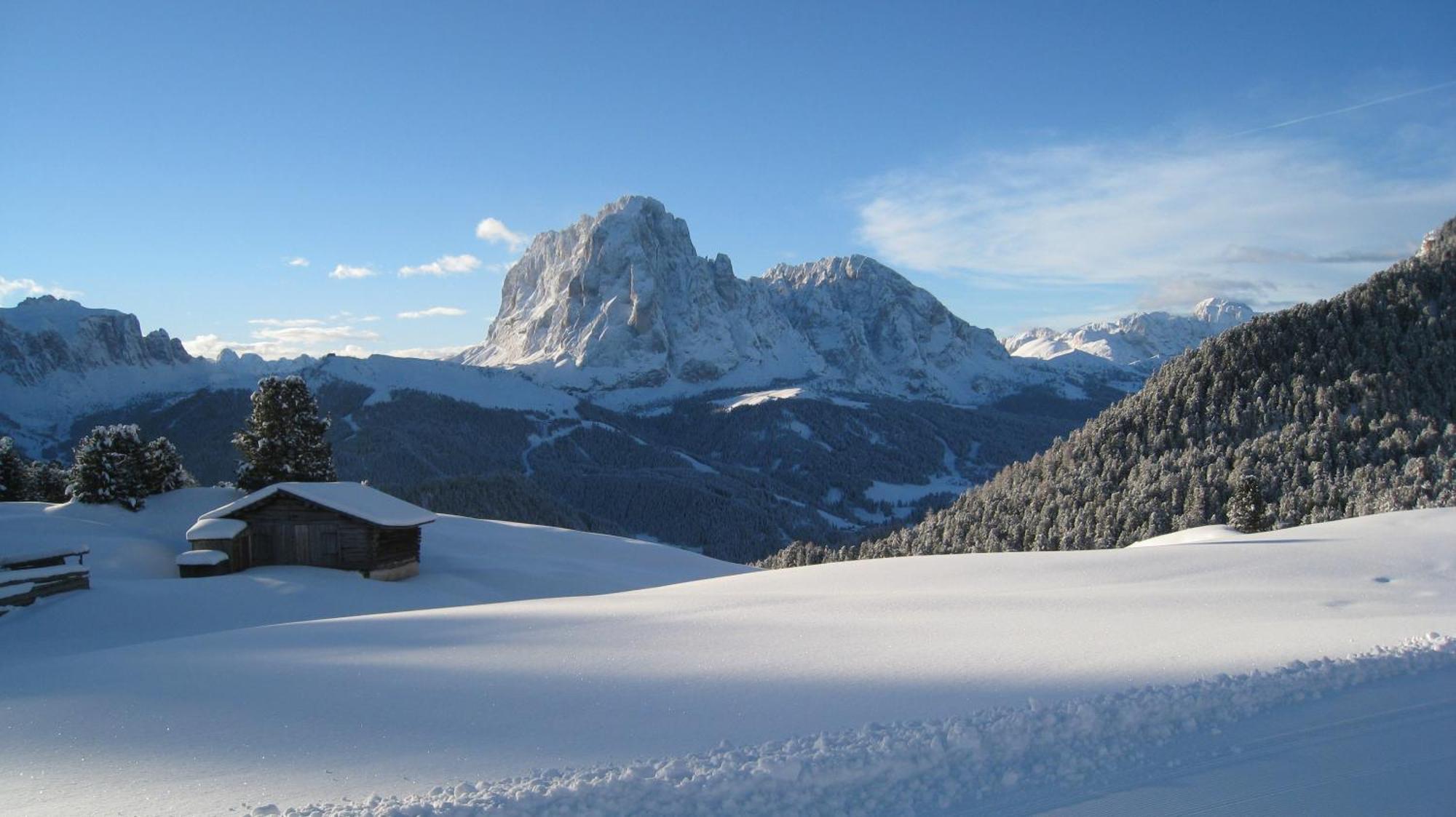 Apartments Dolomie โอติเซ ภายนอก รูปภาพ